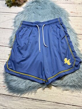 Urban Outfitters Standard Cloth Longline Mesh Basketball Shorts sz L